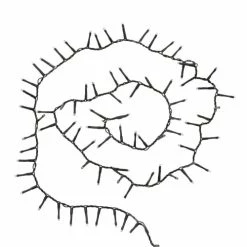Maisons Du Monde Guirlandes Et Cimiers Guirlande électrique L100