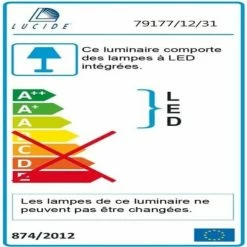 Lucide Suspensions Plafonnier LED Rond En Métal D34.5cm -Luminaires Soldes 2022 plafonnier led rond en metal d34 5cm 2
